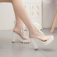 Back Zipper Chunky Heeled Boots